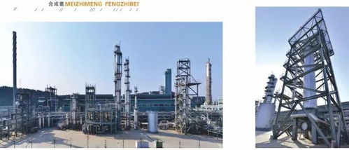 四川美豐一項關鍵化工工藝通過科技成果鑒定，引領行業綠色高效發展