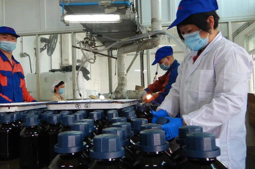 光華科技榮獲“全國石油和化學工業先進集體”稱號，彰顯化工技術創新硬實力