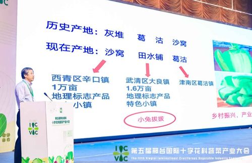 小種子撬動大產業 第五屆邢臺國際十字花科蔬菜產業大會盛大啟帷，展現科技興農新圖景