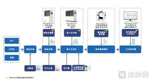 德適IPO上市首日開盤大漲121%，醫療影像AI迎來“大模型時代”新標桿